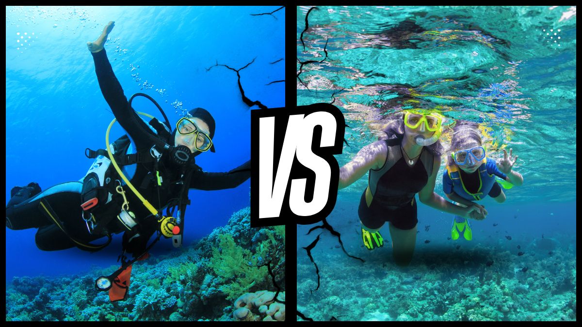 Side-by-side comparison showing scuba diver with equipment exploring deep reef and snorkeler at surface in shallow Costa Rican waters