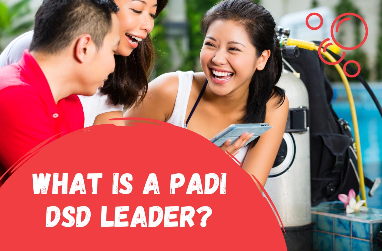 What-is-a-PADI-DSD-Leader