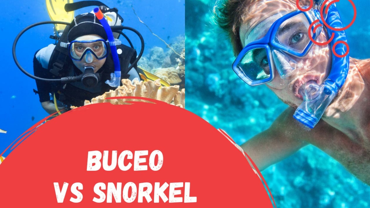 Las máscaras de snorkel, peligrosas en Hawai