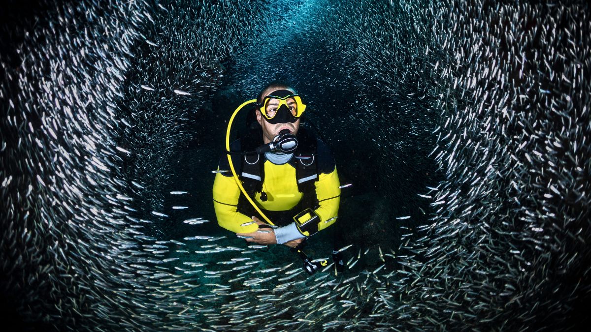 Scuba Diving vs Snorkeling: Which Underwater Adventure Is Right for You? » Costa Rica Divers Comparison of snorkeling at water surface and scuba diving underwater in Costa Rica