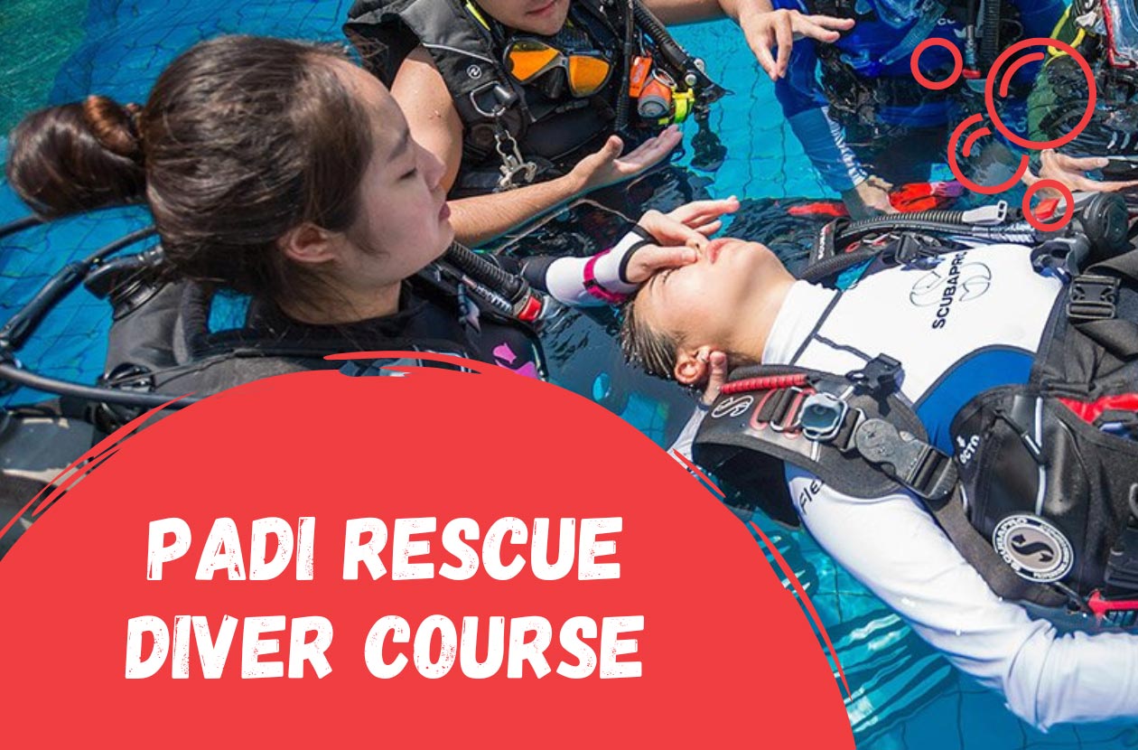 padi-rescue-diver-course-cr