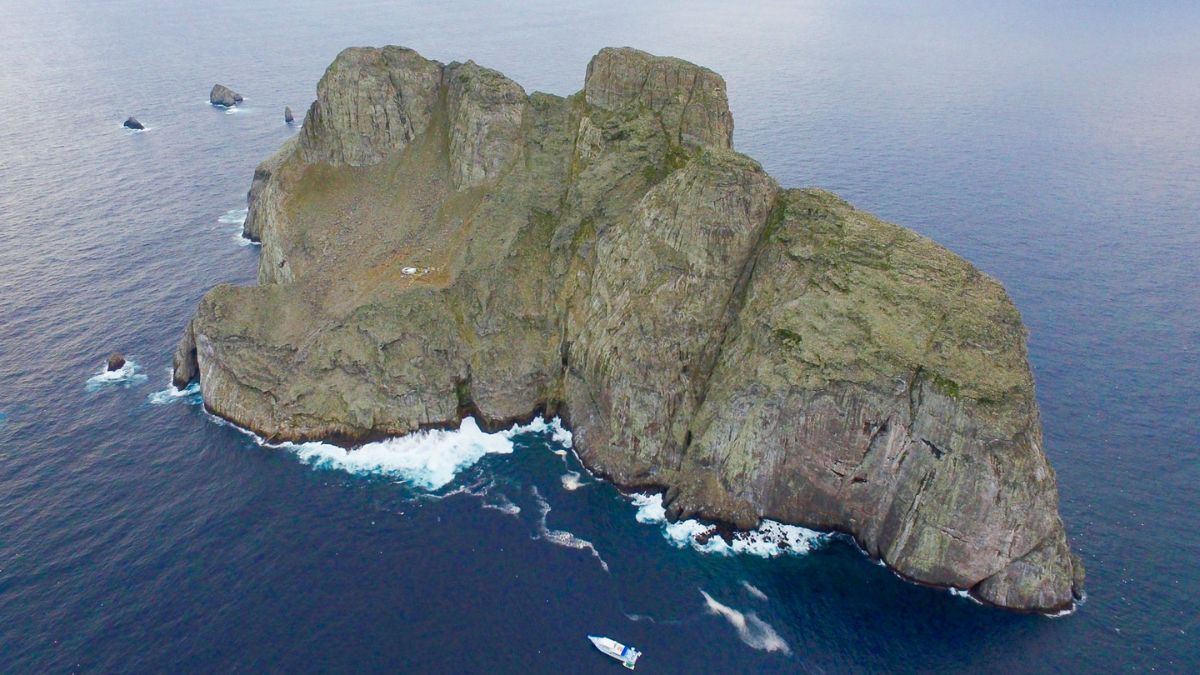 scuba diving Malpelo Island, Colombia