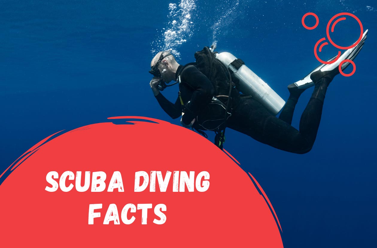 scuba-diving-facts