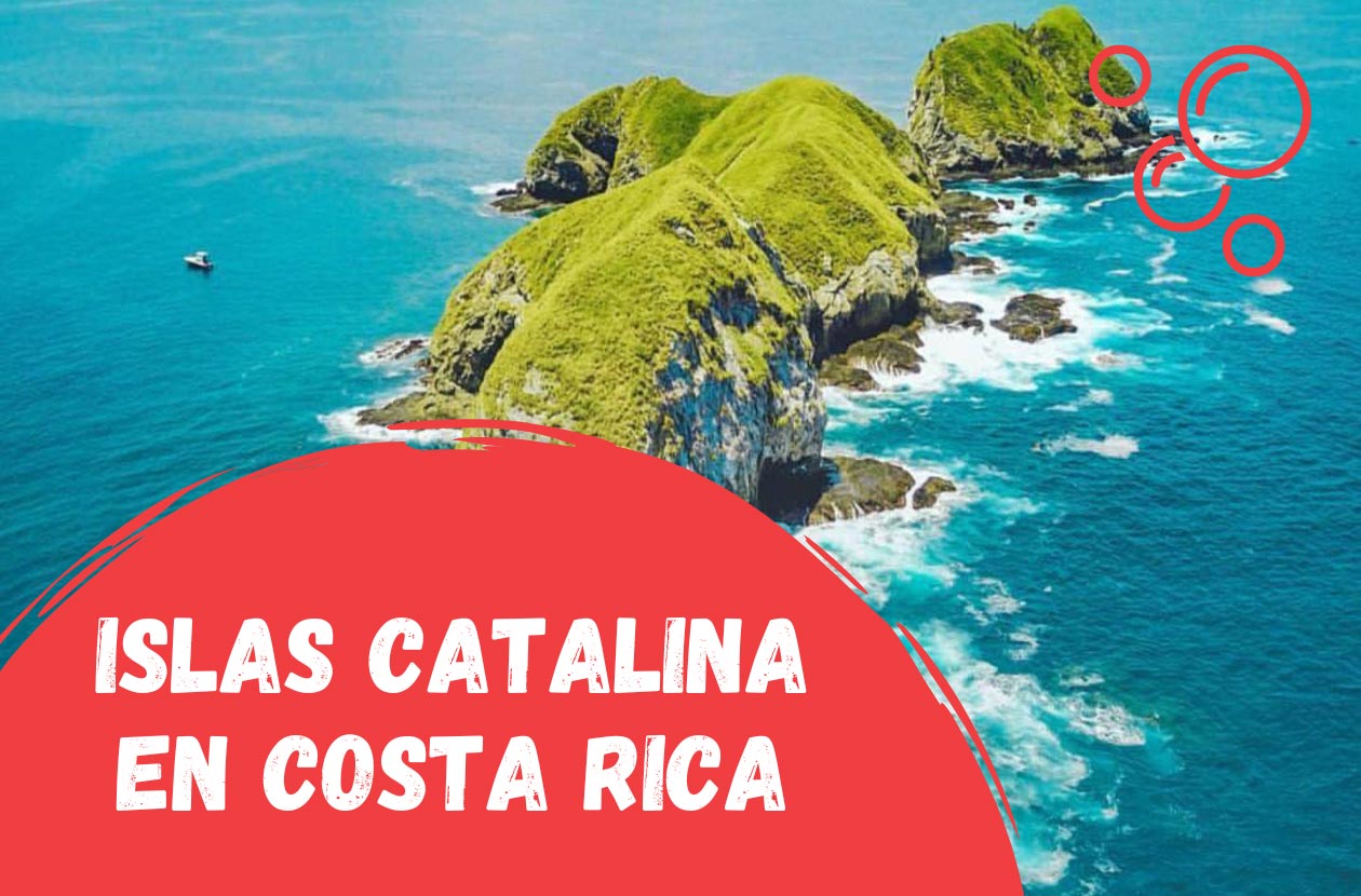 Buceo-en-las-Islas-Santa-Catalina-de-Costa-Rica