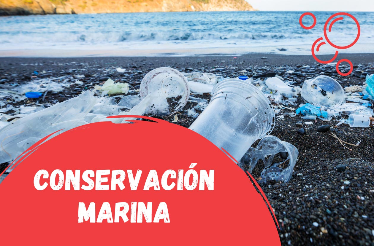 Conservación-marina-en-Costa-Rica