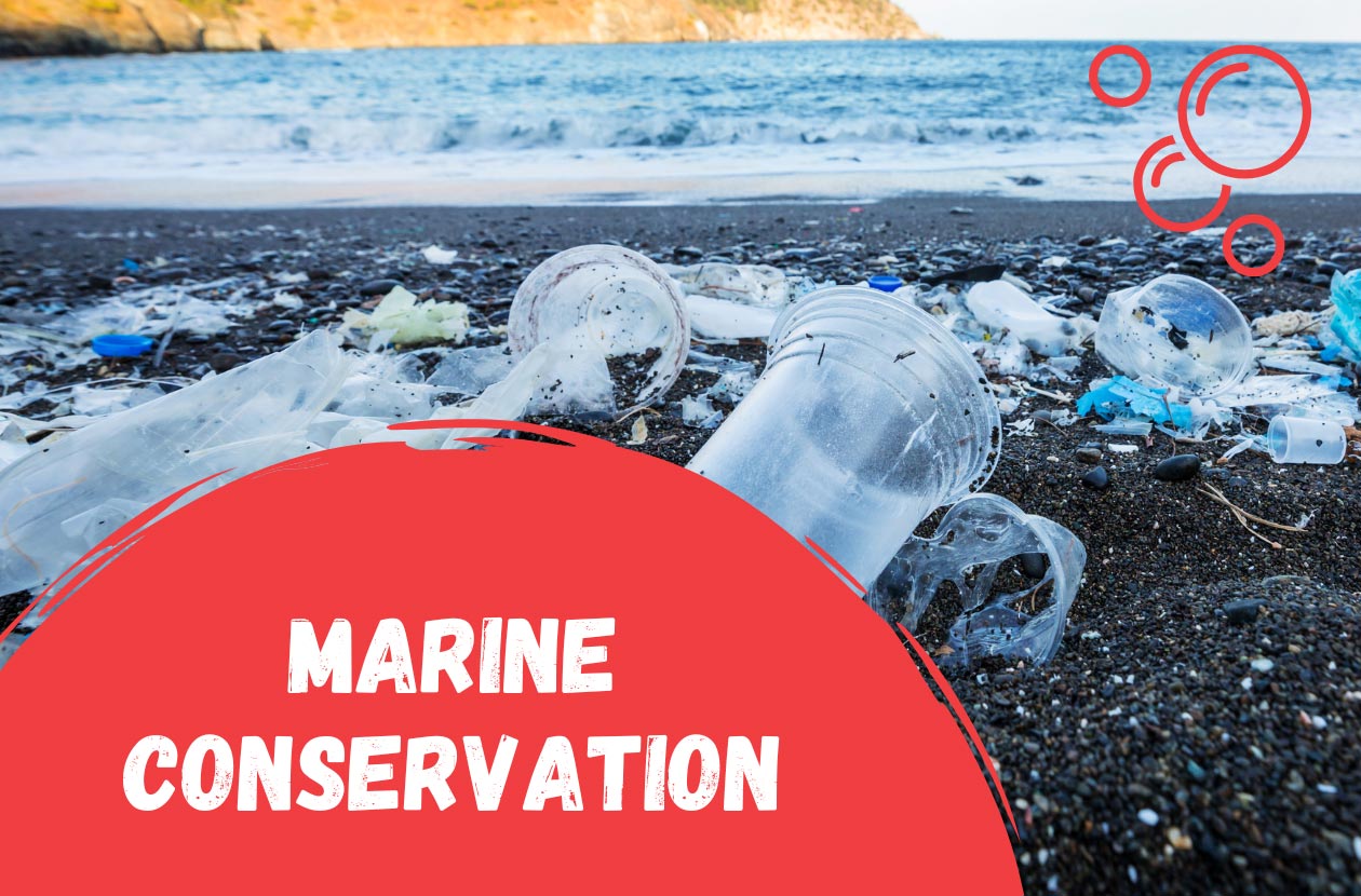 Marine-Conservation-in-Costa-Rica