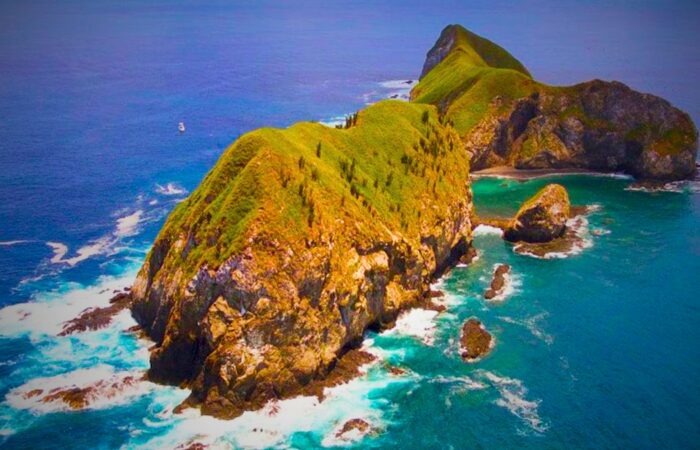 Scuba diver encountering large school of rays and abundant marine life at dramatic Islas Santa Catalina underwater rock formations in Costa Rica