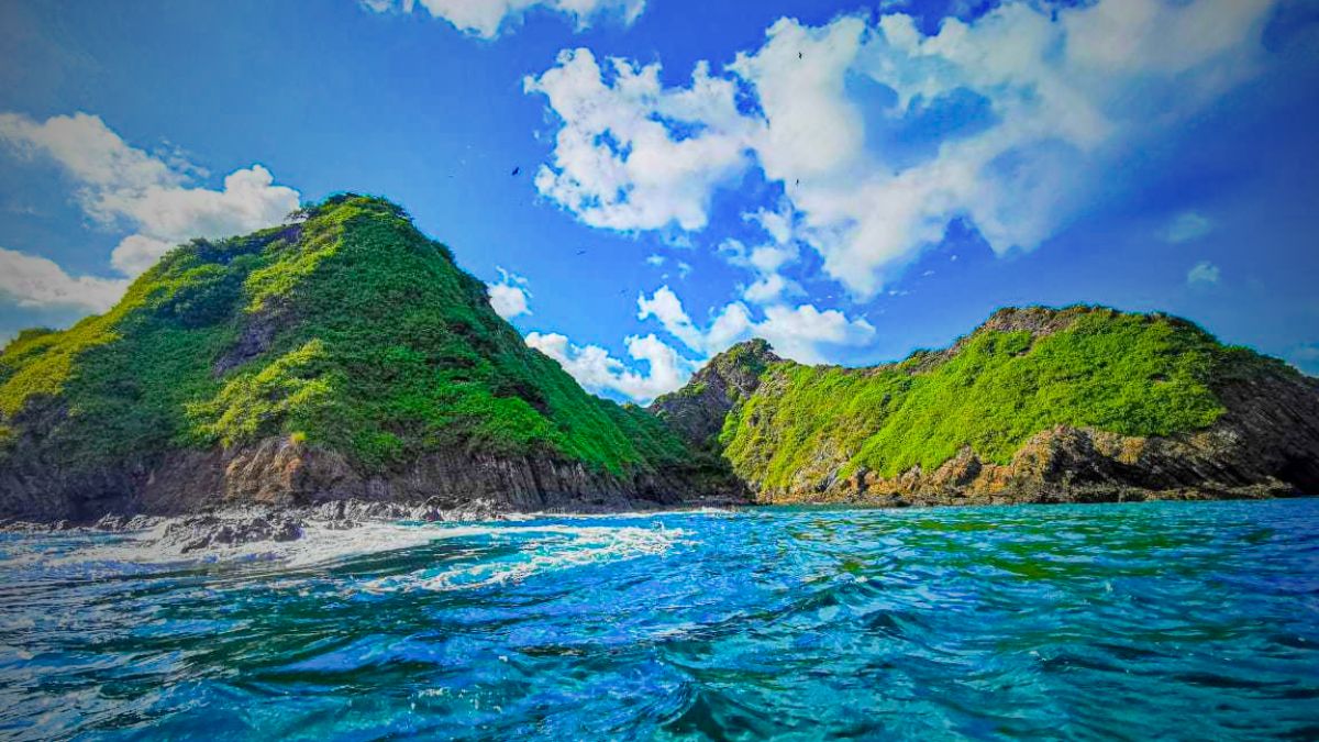 Scuba diver exploring vibrant coral reef with sea turtle and colorful tropical fish in crystal clear waters of Uvita Costa Rica