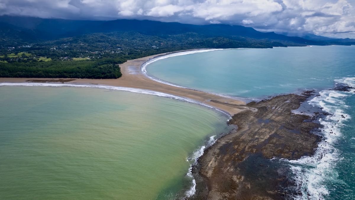 Scuba Diving in Uvita: The Ultimate Gateway to Costa Rica's Underwater World » Costa Rica Divers Scuba Diving in Uvita Bajo Negro (Black Rock Pinnacle)