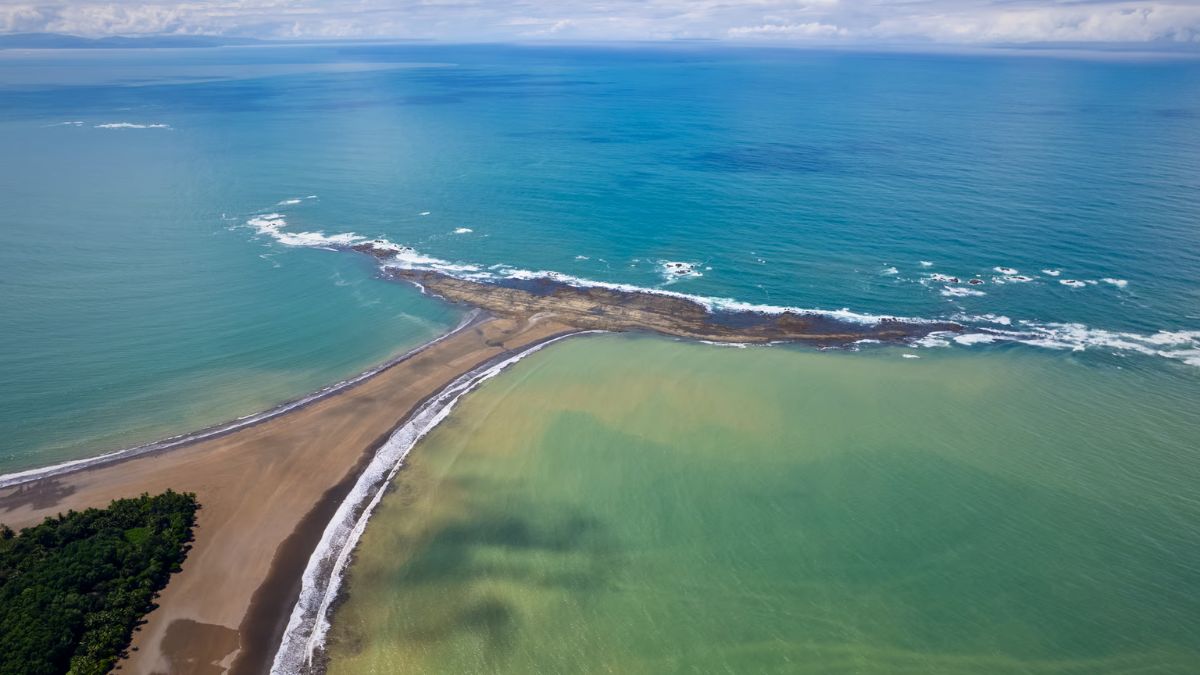 Scuba Diving in Uvita: The Ultimate Gateway to Costa Rica's Underwater World » Costa Rica Divers Scuba Diving in Uvita The Ultimate Gateway to Costa Rica’s Underwater World