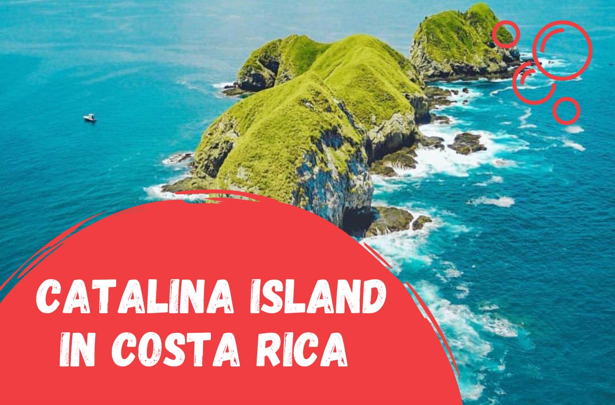 Scuba-Diving-on-Islas-Santa-Catalina-in-Costa-Rica