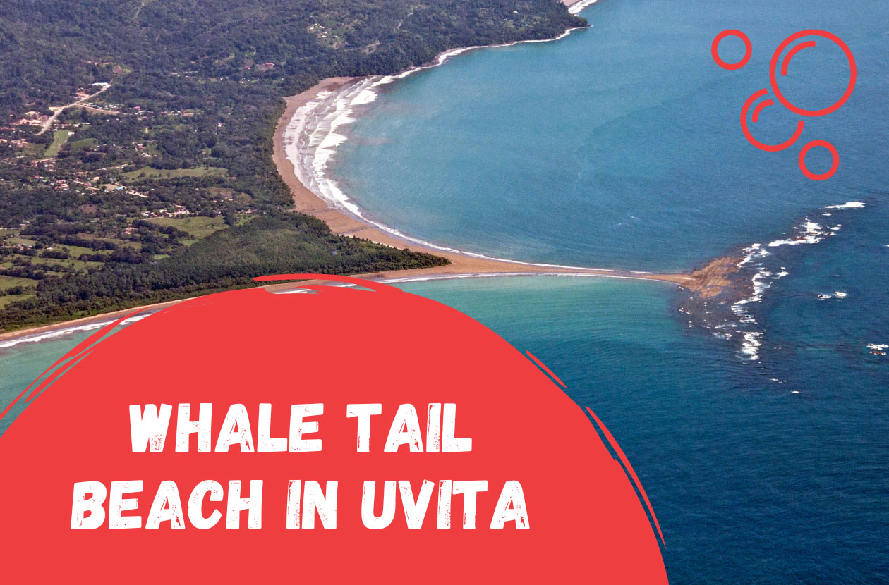 Whale-Tail-at-Marino-Ballena-National-Park