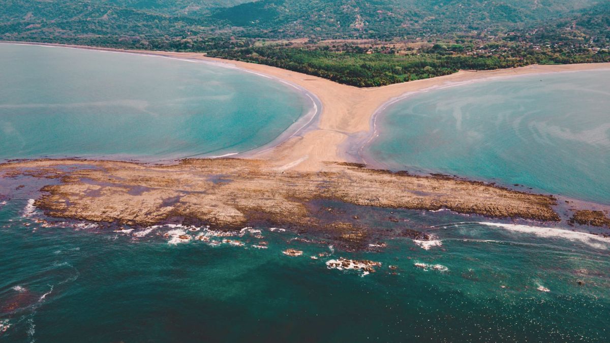 What Will I See at the Tip of the Whale Tail in Uvita Costa Rica
