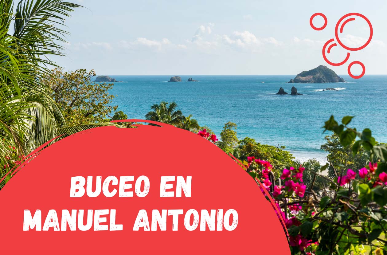 buceo-en-manuel-antonio