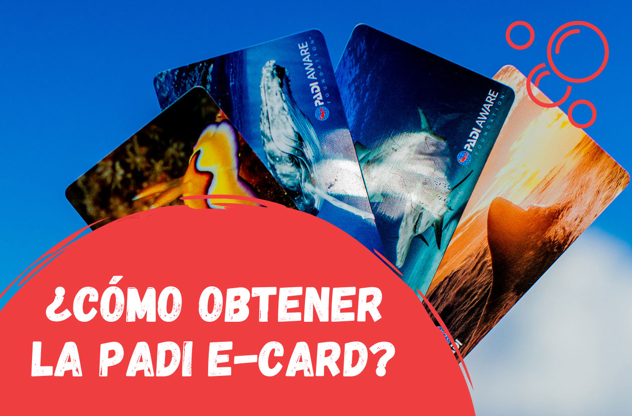 como-obtener-padi-ecard