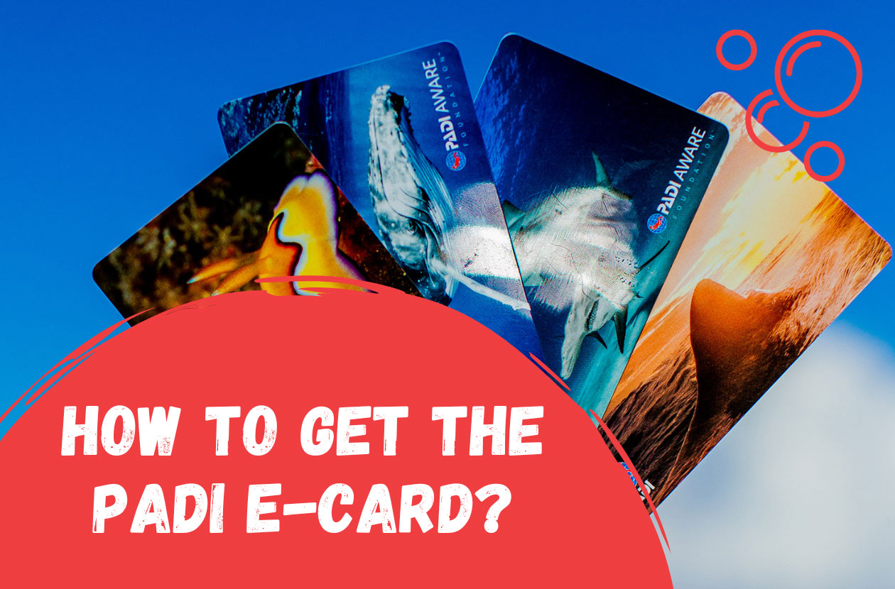 how-to-get-padi-ecard