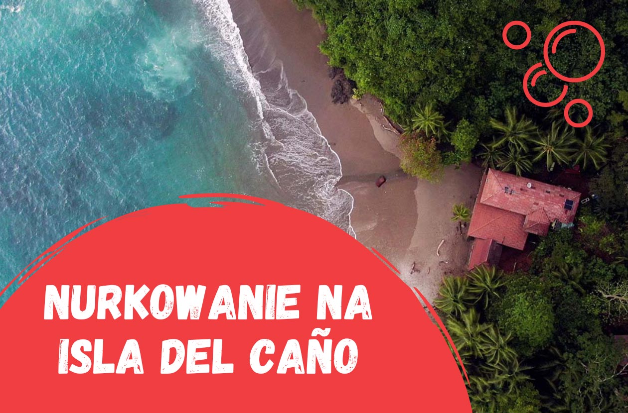 nurkowanie-na-wyspie-isla-del-cano-w-costa-rica