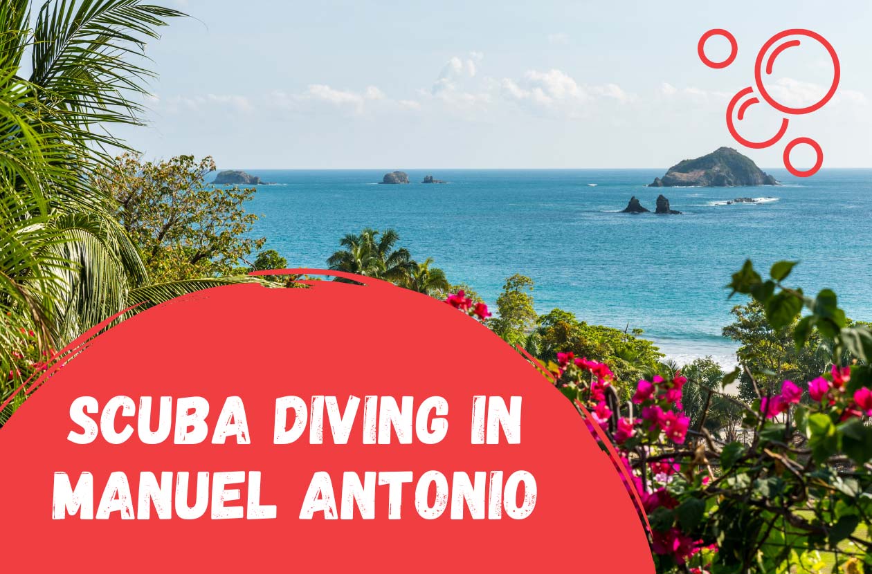 scuba-diving-in-manuel-antonio