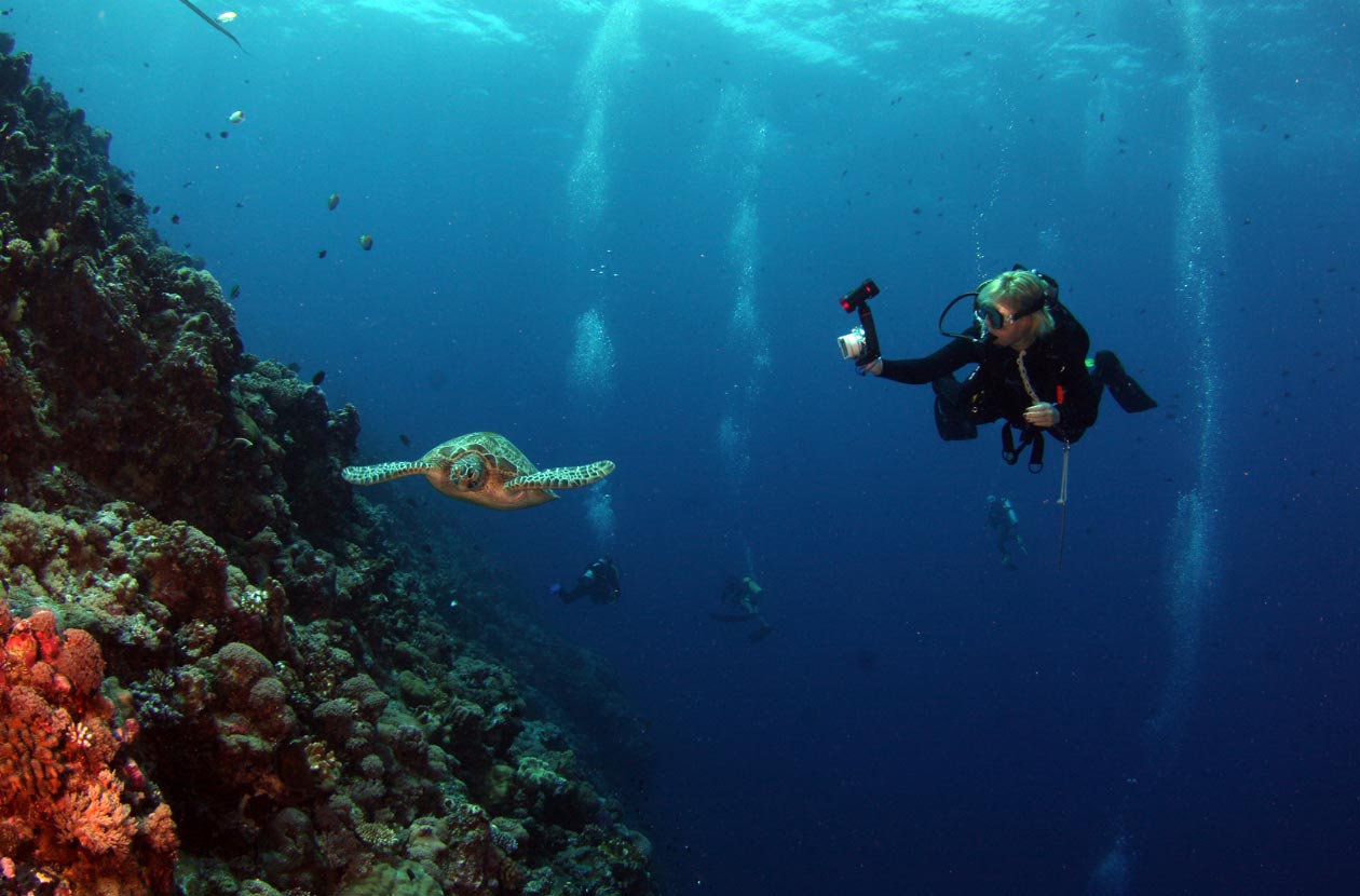 scuba-diving-with-turtles-in-costa-rica Scuba Diver in Costa Rica