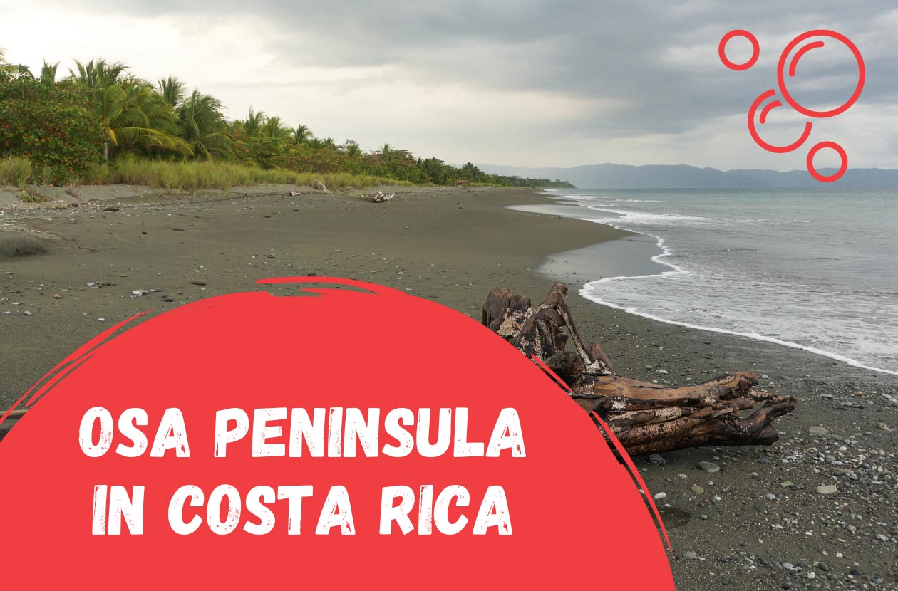 Best-Things-To-Do-on-the-Osa-Peninsula-in-Costa-Rica