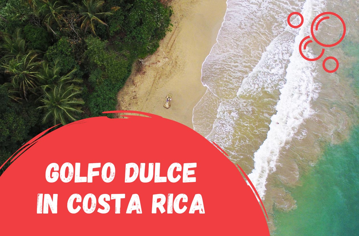 Discover-the-Attractions-of-Golfo-Dulce-in-Costa-Rica