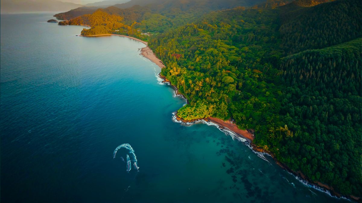 Aerial view of Golfo Dulce bay in Costa Rica showing calm turquoise waters with dolphins, surrounded by lush tropical rainforest coastline