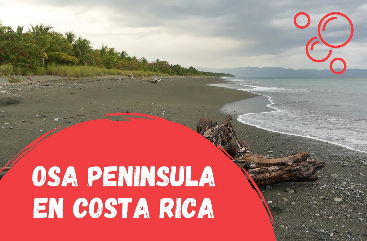 Las-mejores-cosas-que-hacer-en-la-Península-de-Osa-en-Costa-Rica