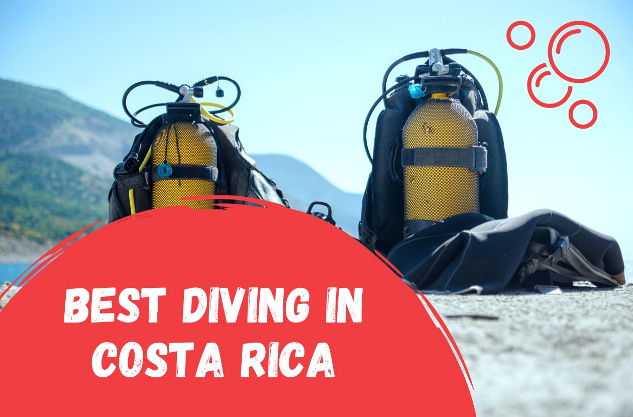 The-6-Best-Places-to-Scuba-Dive-in-Costa-Rica-in-2025