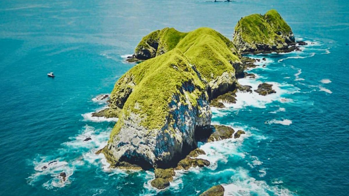 The best places for diving in Costa Rica Santa Catalina