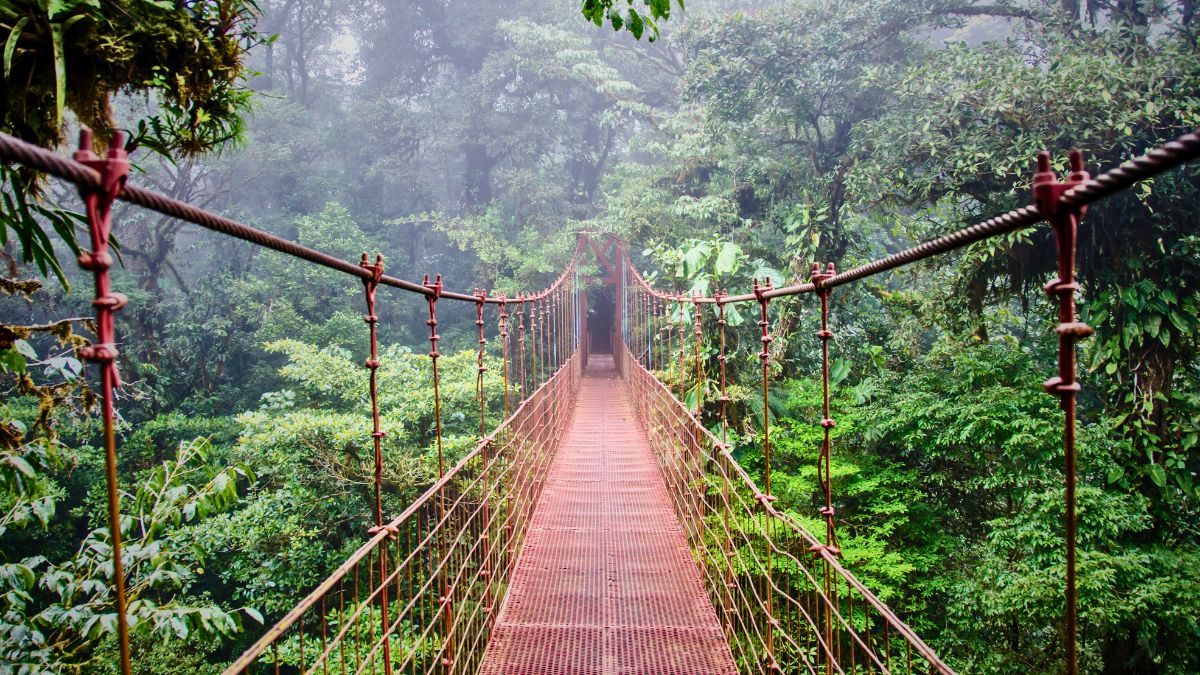 Ecotourism in Costa Rica: Everything you need to know » Costa Rica Divers Tourists hiking through misty Monteverde Cloud Forest Reserve