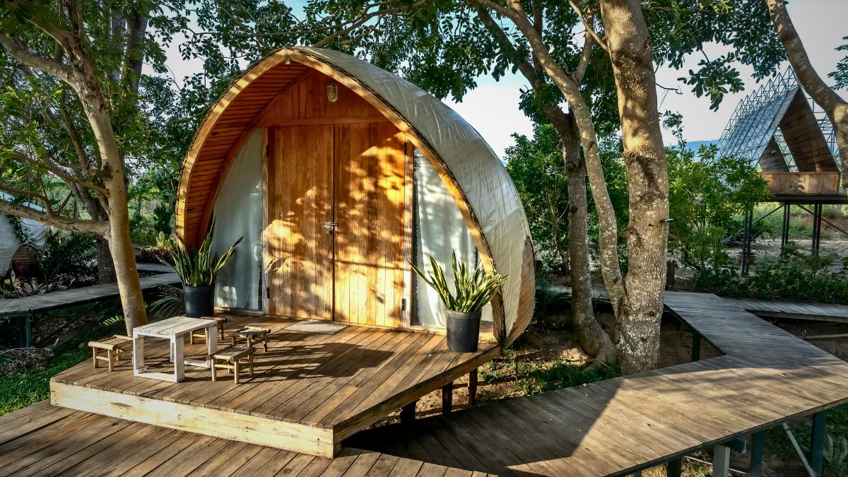 Ecotourism in Costa Rica: Everything you need to know » Costa Rica Divers Family-owned eco-lodge nestled in Osa Peninsula rainforest