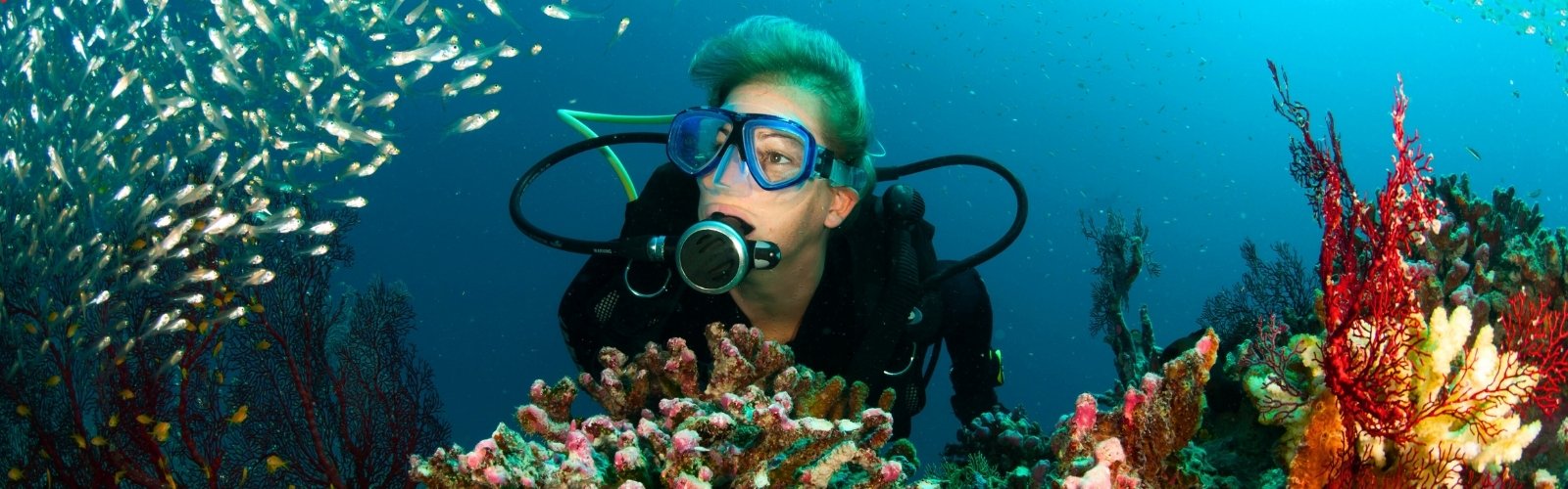 Beginner scuba diving lesson in Manuel Antonio Costa Rica