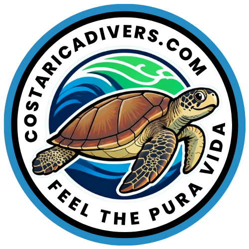 Costa Rica Divers » Your Guide to Diving Adventures in Costa Rica