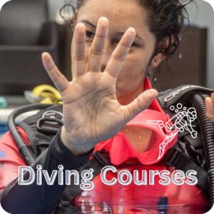 Scuba Diving Courses in Costa Rica