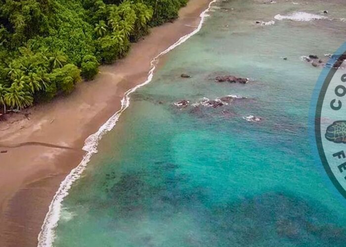 Scuba Diving at Caño Island from Uvita