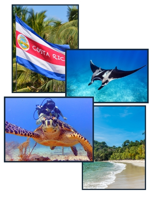 Scuba diving in Costa Rica with schools of tropical animals