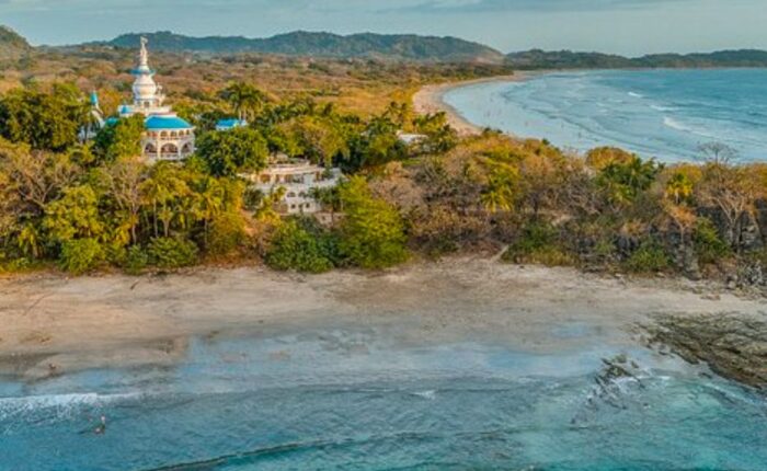 Tours in Nosara, Costa Rica Surfing & Turtle Watching