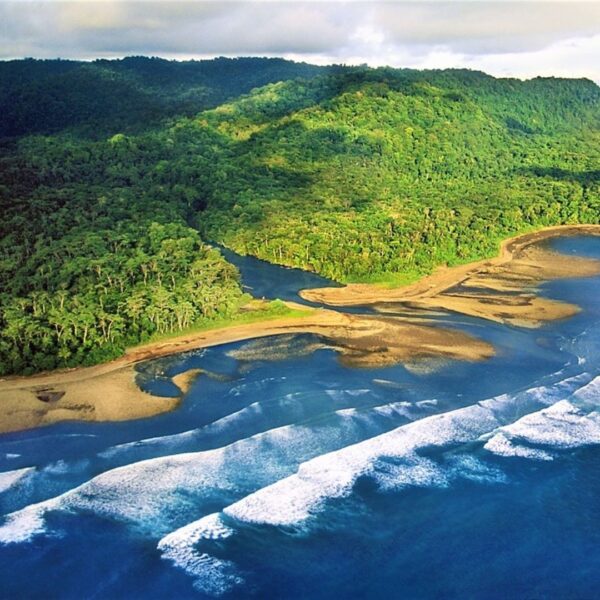 Tours in Osa Peninsula in Costa Rica
