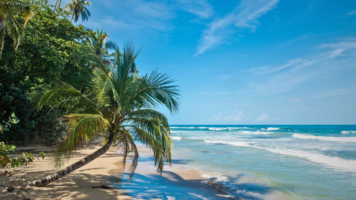 Caribbean beach with turquoise water in Puerto Viejo Costa Rica