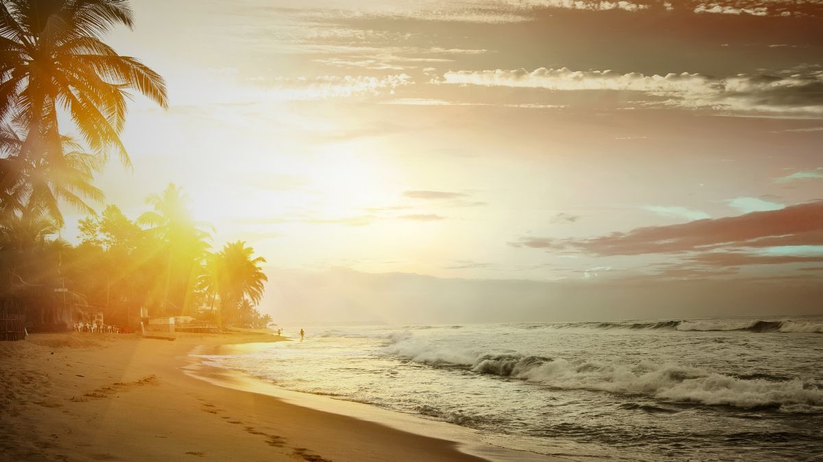 Sunset over Guanacaste beach with palm trees in Costa Rica