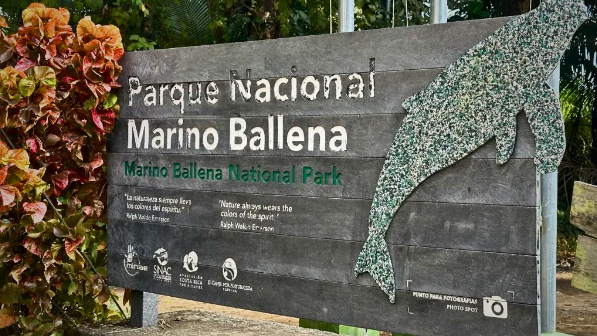 Can Non-swimmers Learn To Scuba Dive? Yes! Here's everything you need to know » Costa Rica Divers marino ballena national park in uvita in costa rica