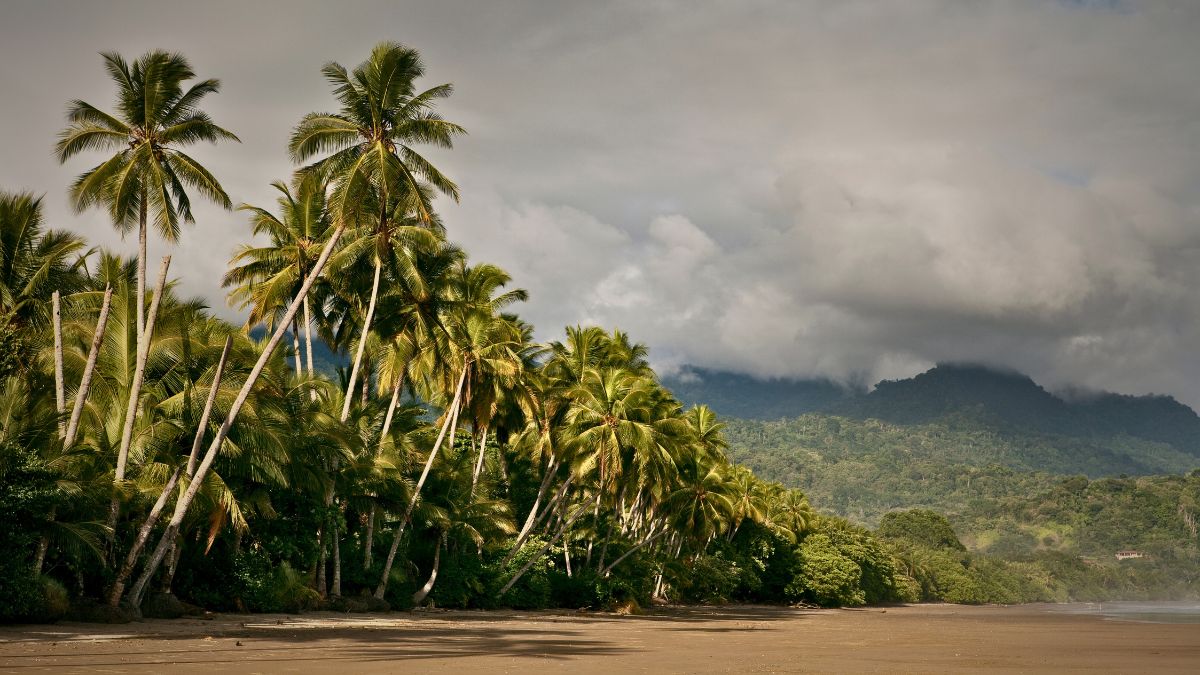 Uvita, Costa Rica: Complete Travel Guide » Costa Rica Divers Beautiful Playa Hermosa beach north of Uvita with calm waters