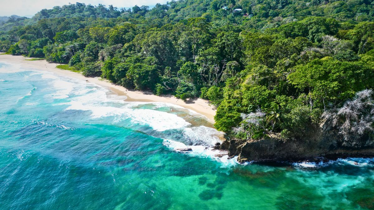 Can I Go Scuba Diving on Costa Rica's Caribbean Coast?