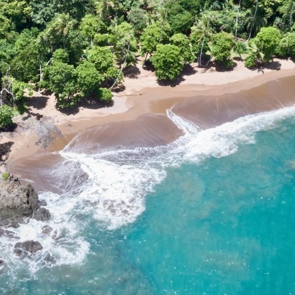 Corcovado National Park Day Trip from Uvita