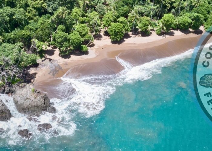 Corcovado National Park Day Trip from Uvita