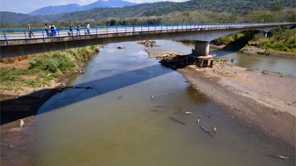 Crocodile Bridge over the Tarcoles River