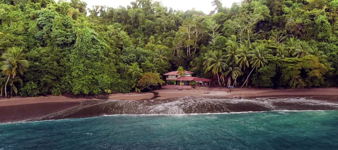 Scuba Diving at Isla del Caño Complete Guide to Caño Island