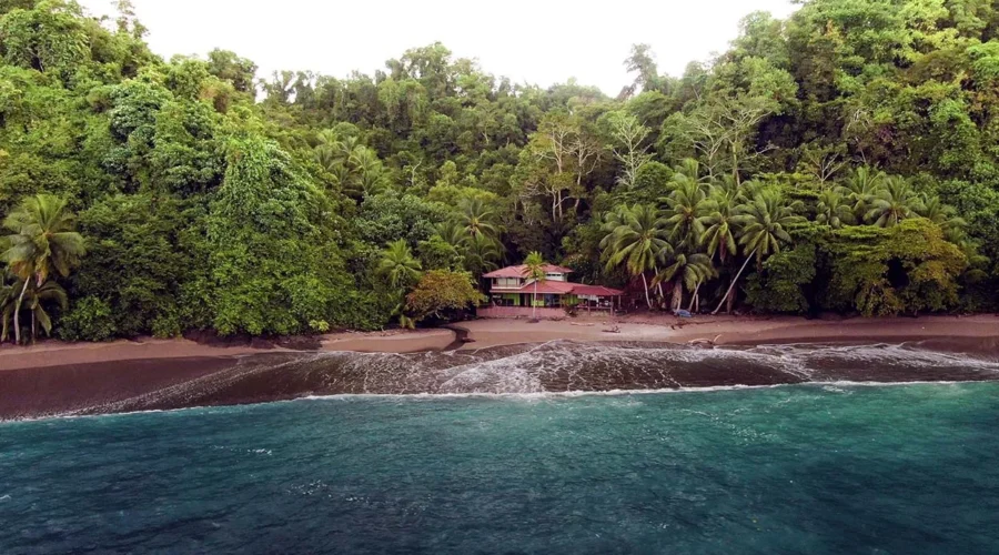 Scuba Diving at Isla del Caño Complete Guide to Caño Island