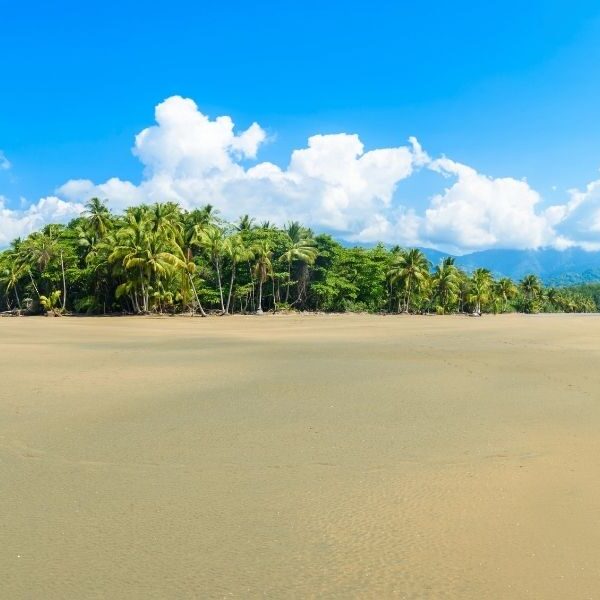 Scuba Diving in Marino Ballena, Uvita – Dive the Whale Tail Reef