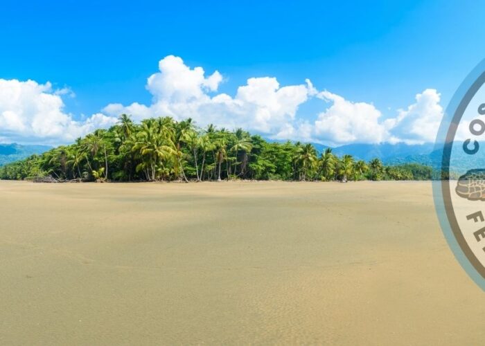 Scuba Diving in Marino Ballena, Uvita – Dive the Whale Tail Reef